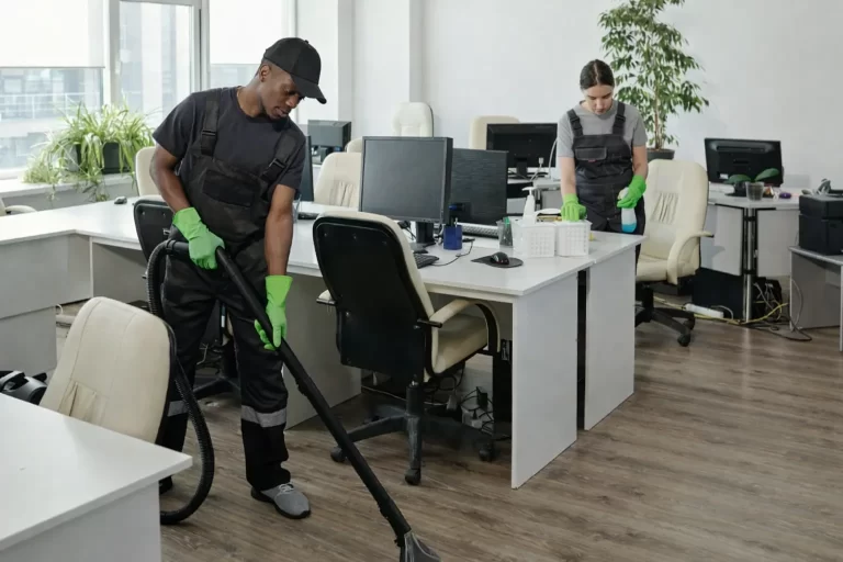 Fresh Leaf in Auckland Offers Dependable Regular House Cleaning Services